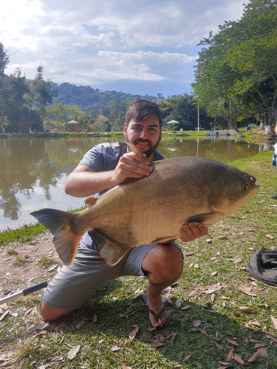 pacu